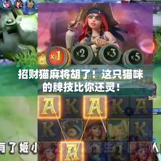 招财猫麻将胡了!这只猫咪的牌技比你还灵! 招财猫麻将胡了!这只猫咪的牌技比你还灵!